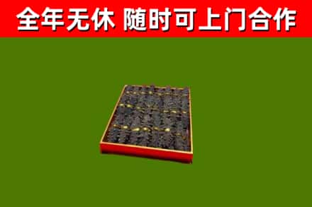 疏附县回收海参